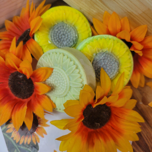 ROSEMARY SOLID SHAMPOO BARS (2 FOR $25 SALE SHAMP n DISH SETS)