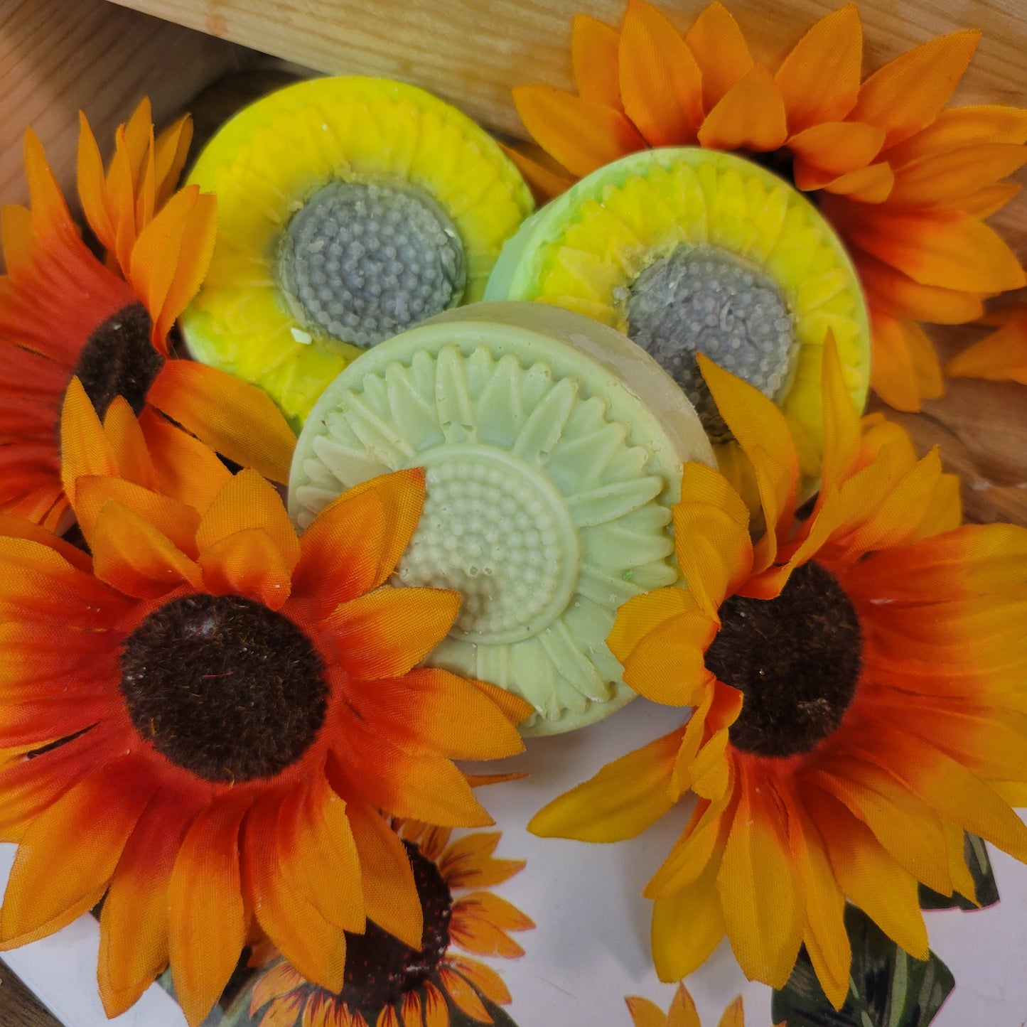 ROSEMARY SOLID SHAMPOO BARS (2 FOR $25 SALE SHAMP n DISH SETS)