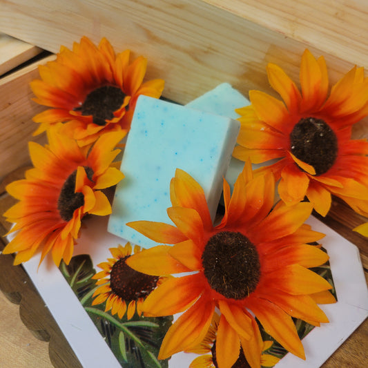 Mint Solid Conditioner Bar (2 FOR $25 SALE SHAMP n DISH SETS)