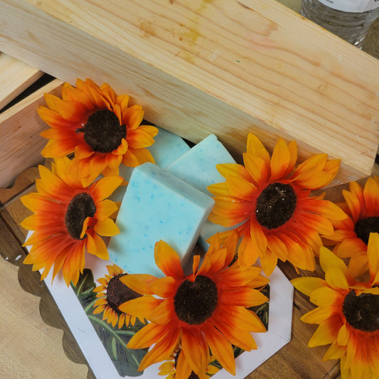 Mint Solid Conditioner Bar (2 FOR $25 SALE SHAMP n DISH SETS)